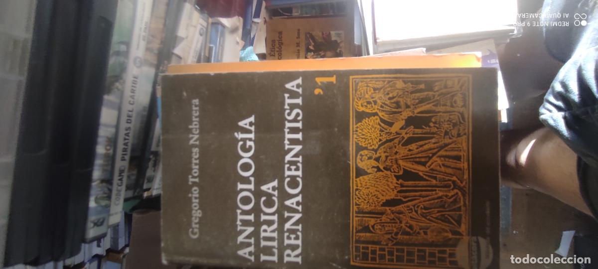 Libros de segunda mano: TORRES NEBRERA, GREGORIO. - Antolog&iacute;a l&iacute;rica renacentista. Tomo I