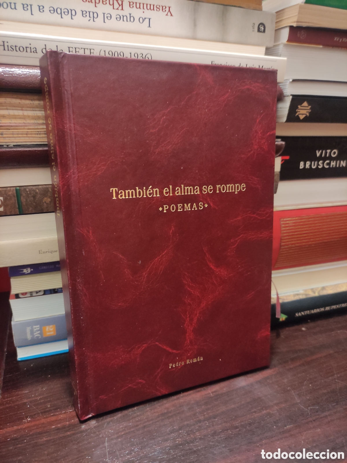 Libros de segunda mano: Tambi&eacute;n el alma se rompe - POEMAS - Pedro Rom&aacute;n