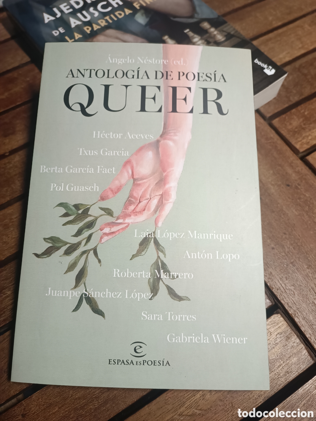 Libros de segunda mano: Antolog&iacute;a de poes&iacute;a queer Angelo nestore Ant&oacute;n lopo Sara Torres Pol guasch txus Garc&iacute;a espada booket