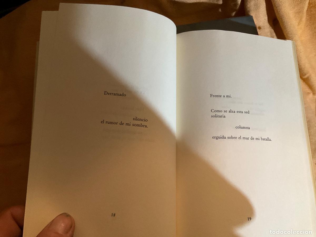 Libros de segunda mano: Variaciones en blanco - Ada Salas Moreno - Foto 3