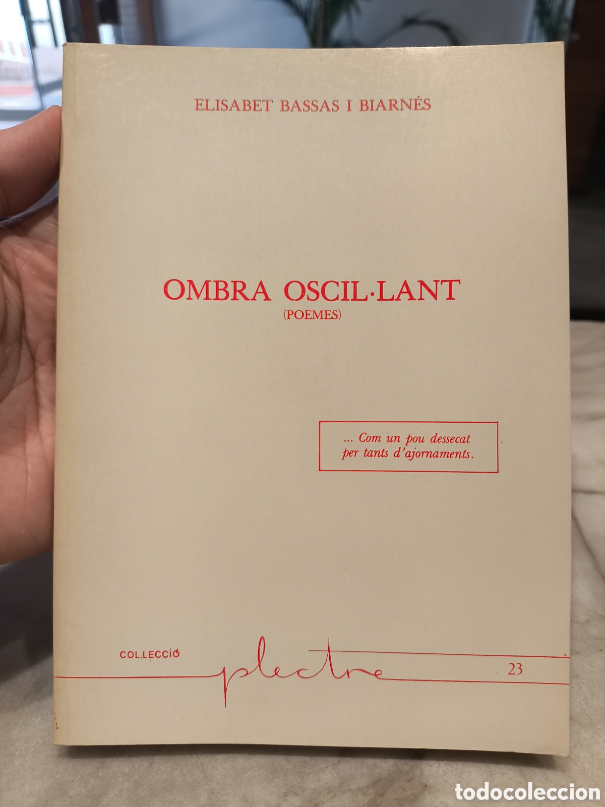 Libros de segunda mano: Col leccio Plectre num. 23 Ombra oscil.lant / Elisabet Bassas i Biarn&eacute;s