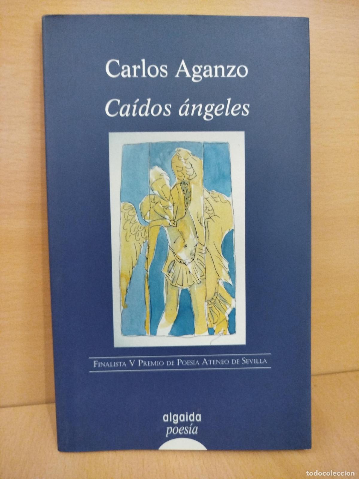 Libros de segunda mano: Ca&iacute;dos &aacute;ngeles - Carlos Aganzo