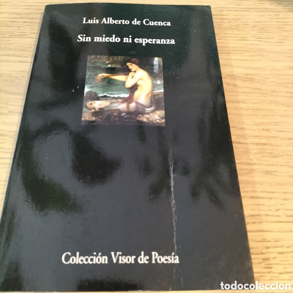 Gebrauchte B&uuml;cher: LUIS ALBERTO DE CUENCA, SIN MIEDO NI ESPERANZA, POEMAS 1996-2002 - VISOR