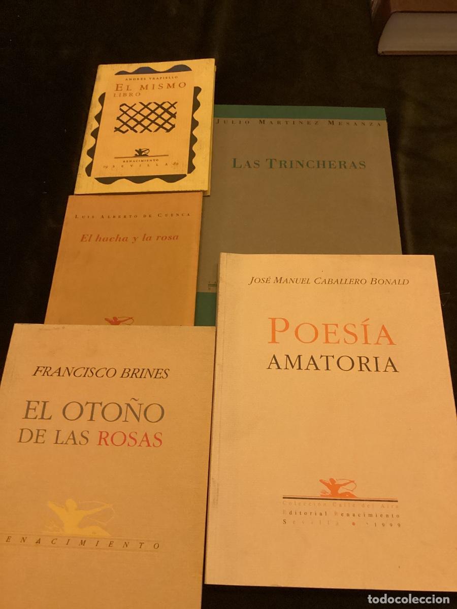 Livres d'occasion: LOTE 5 TITULOS POES&Iacute;A EN RENACIMIENTO. BONALD, TRAPIELLO, BRINES, CUENCA, MESANZA&hellip;