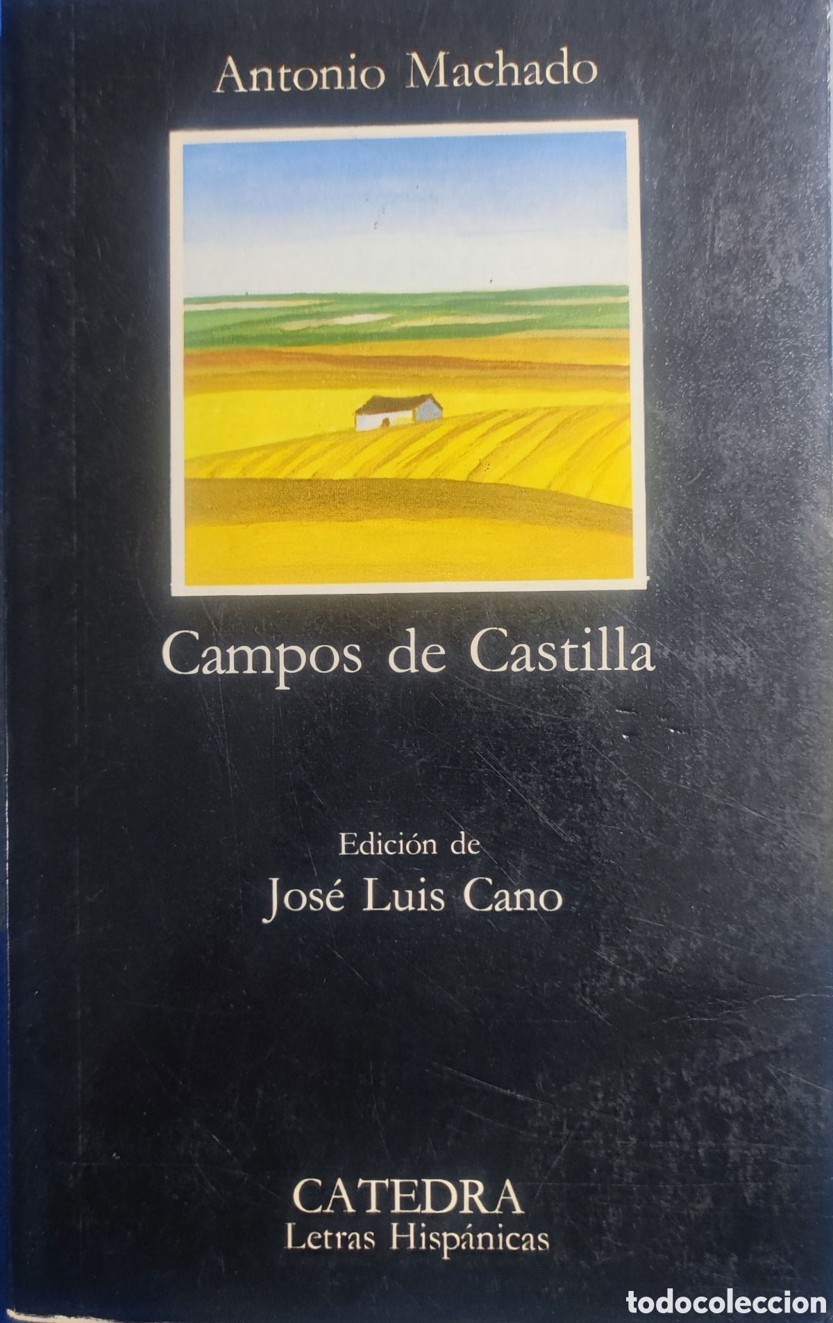 Libros de segunda mano: Antonio Machado. Campos de Castilla