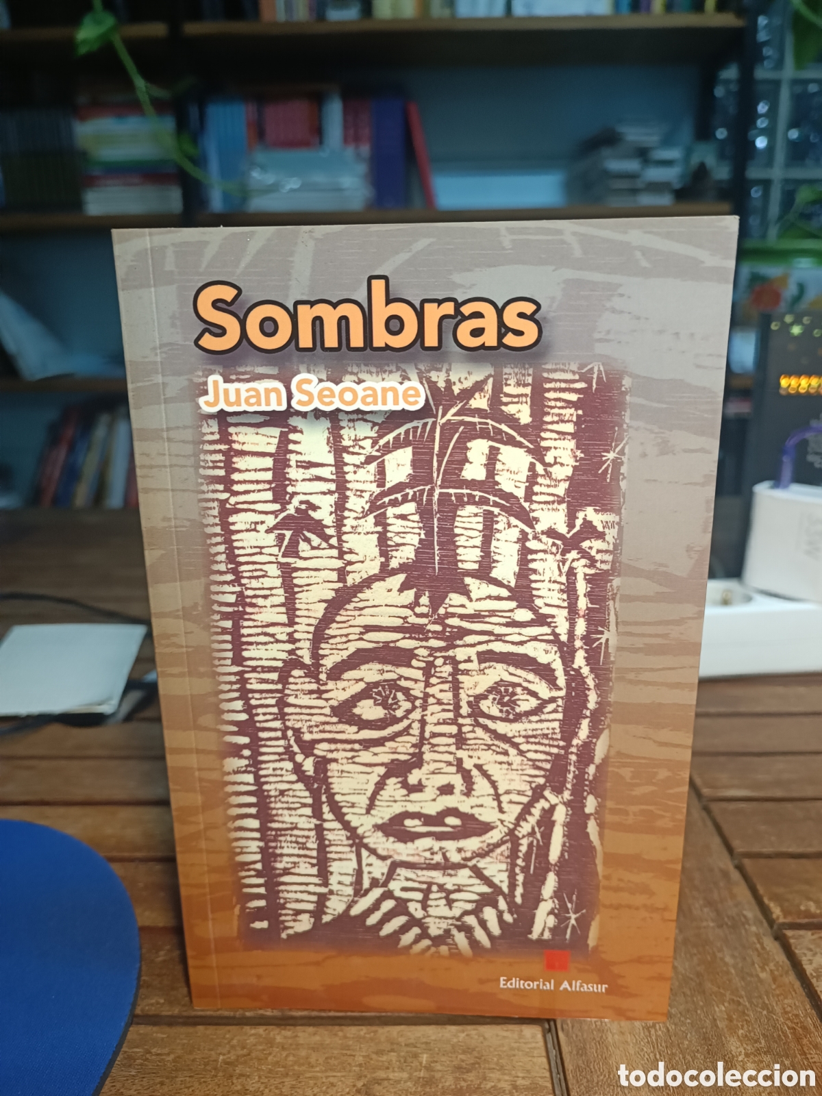 Libros de segunda mano: SOMBRAS JUAN SEOANE ALFASUR 2008 PRIMERA EDICION POES&Iacute;A