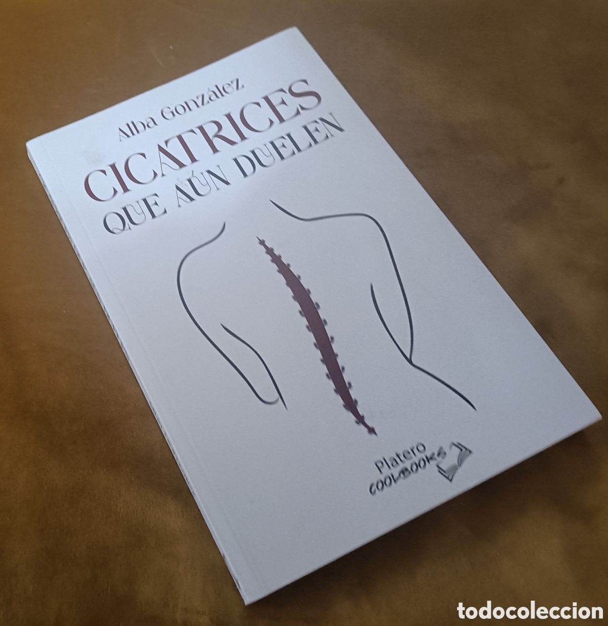 Gebrauchte B&uuml;cher: Cicatrices q a&uacute;n duelen. Alba Gonz&aacute;lez. Platero Coolbooks, 2023