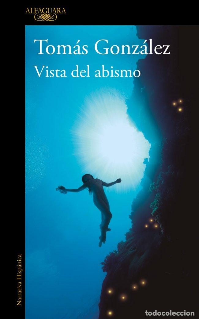 Libros de segunda mano: Vista del Abismo - Tom&aacute;s Gonz&aacute;lez - Alfaguara - 2026