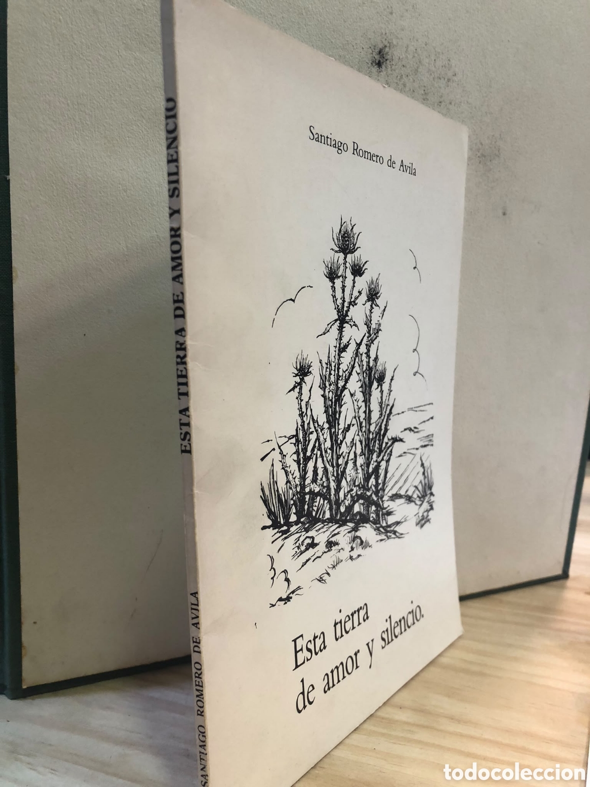 Livres d'occasion: Esta tierra de amor y silencio - Santiago Romero de &Aacute;vila