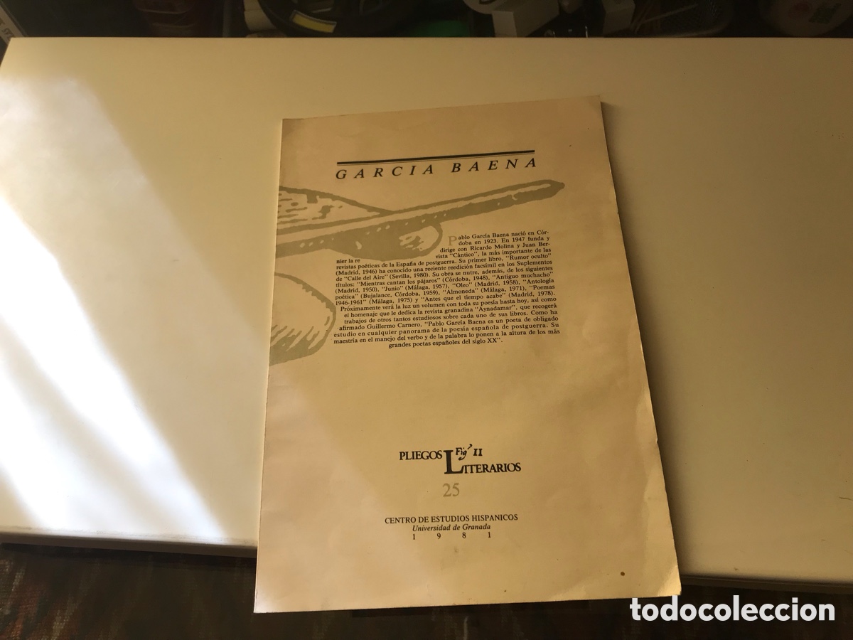 Libros de segunda mano: Pliegos literarios n&ordm; 25. Pablo Garc&iacute;a Baena. 1981.