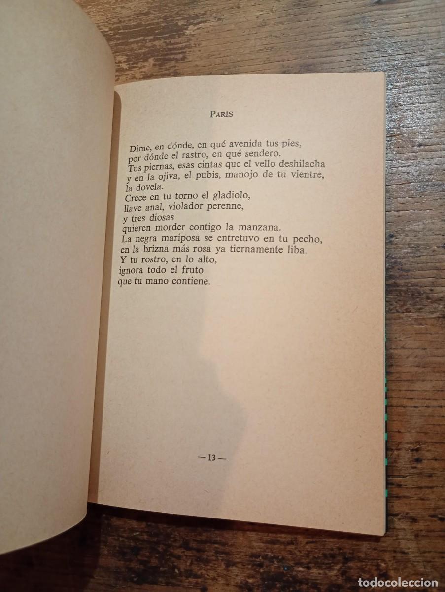 Libros de segunda mano: Los devaneos de Erato, Ana Rossetti. - Foto 4