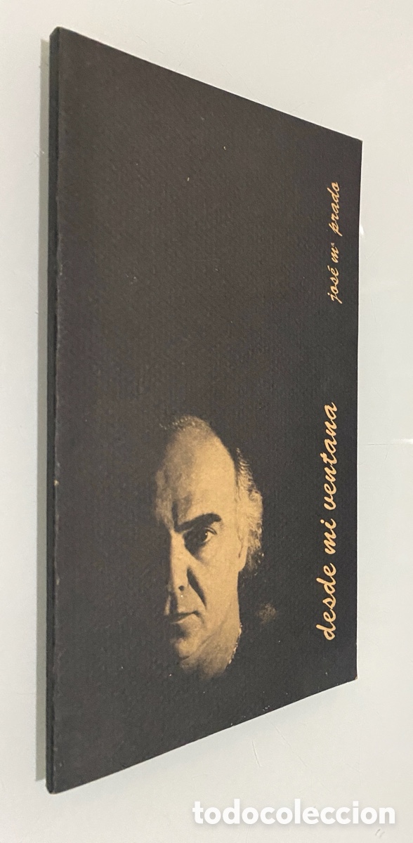 Libros de segunda mano: Desde mi ventana - PRADO, Jos&eacute; Mar&iacute;a