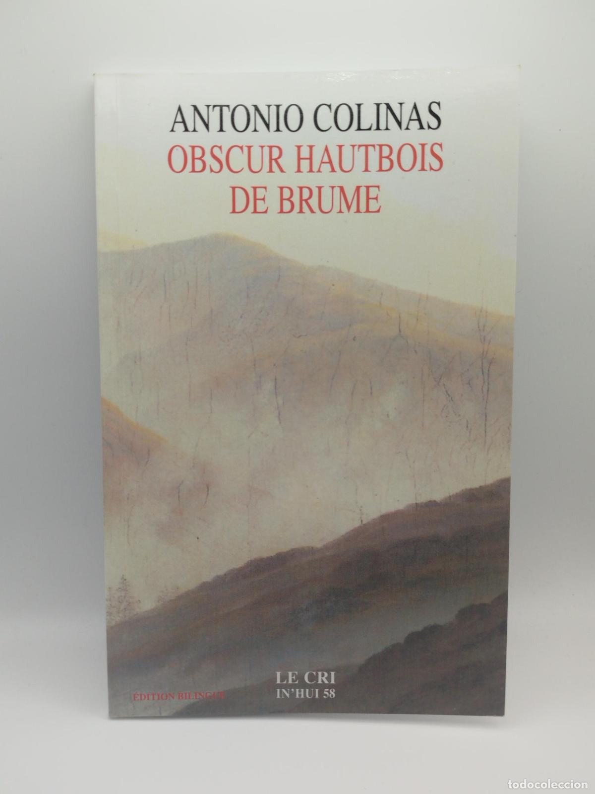 Libros de segunda mano: Obscur hautbois de brume - Colinas, Antonio.