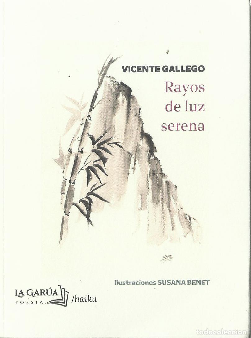 Libros de segunda mano: Vicente GALLEGO : Rayos de luz serena. 196 p. Ilustraciones en color de Susana Benet. La Gar&uacute;a Libro