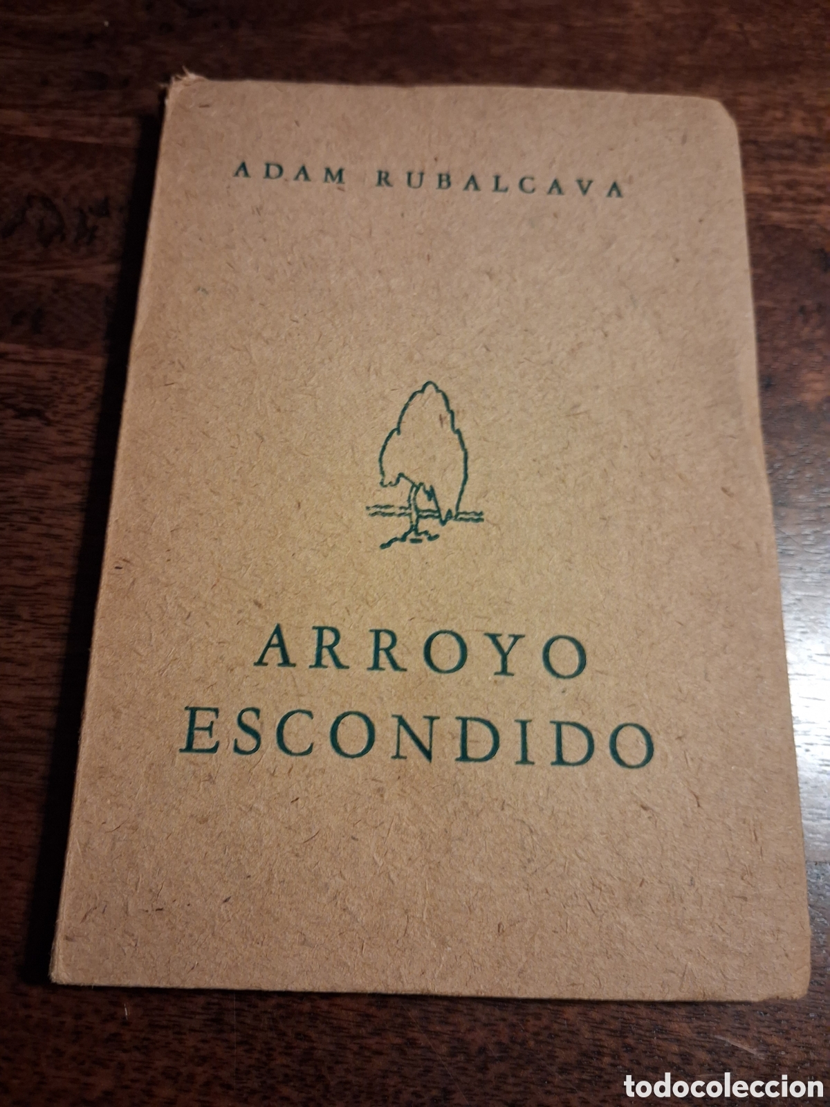 Libros de segunda mano: Arroyo escondido, Adam Rubalcava