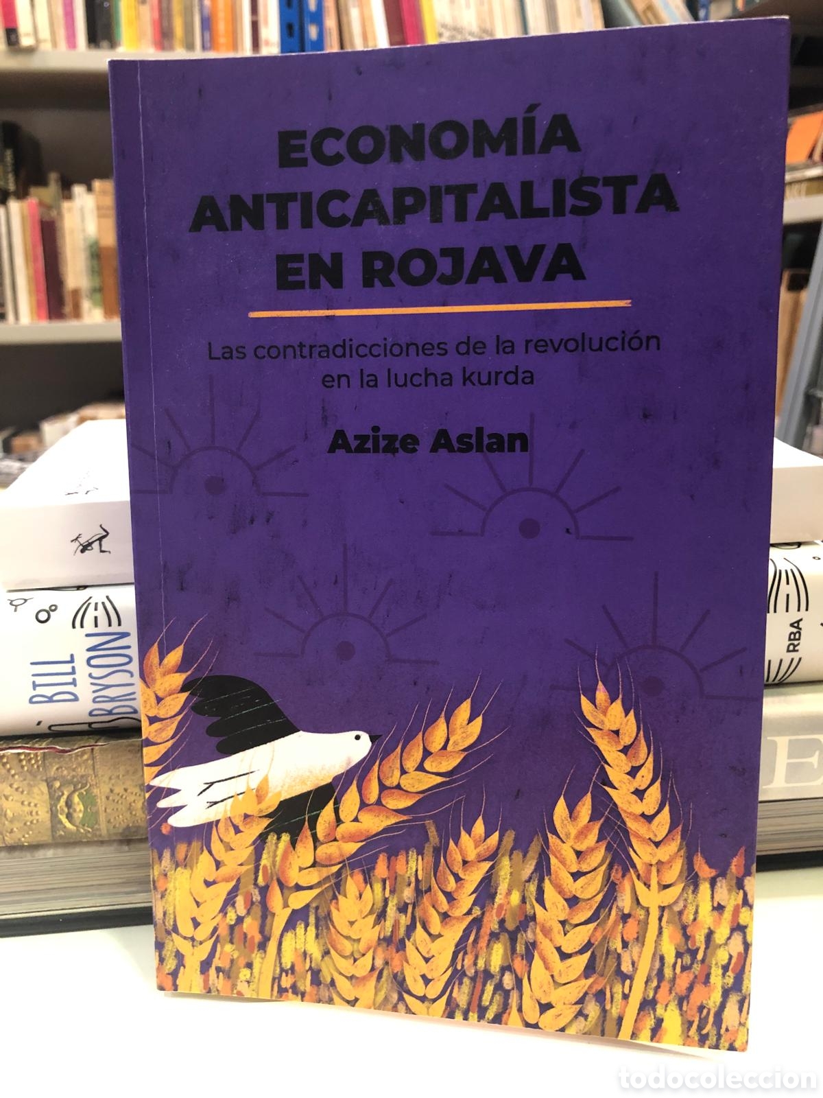 Second hand books: Econom&iacute;a anticapitalista en Rojava. Las contradicciones de la revoluci&oacute;n en la lucha kurda - A Aslan