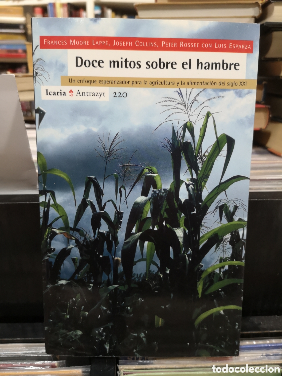 Libros de segunda mano: DOCE MITOS SOBRE EL HAMBRE - UN ENFOQUE ESPERANZADOR... - VARIOS AUTORES - ENV&Iacute;O DESDE 1&euro;