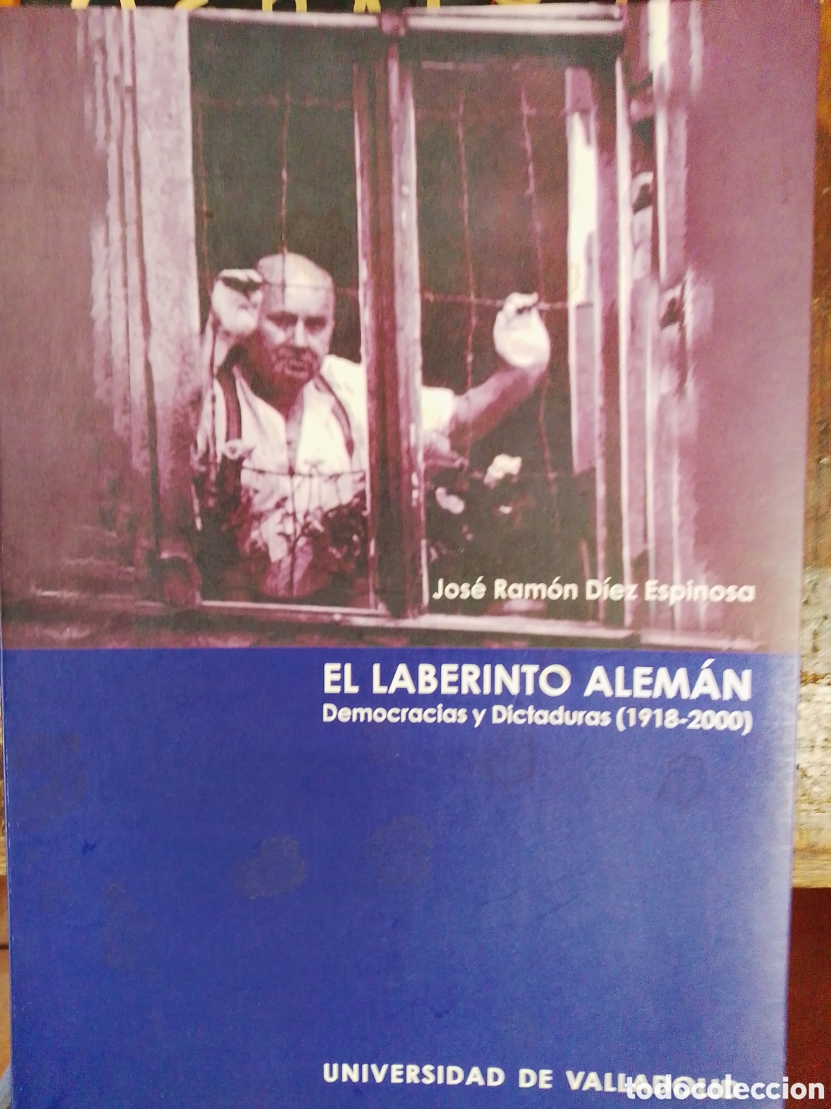 Libros de segunda mano: EL LABERINTO ALEMAN. DIEZ ESPINOSA, JOSE RAMON. UNIVERSIDAD DE VALLADOLID. 2002