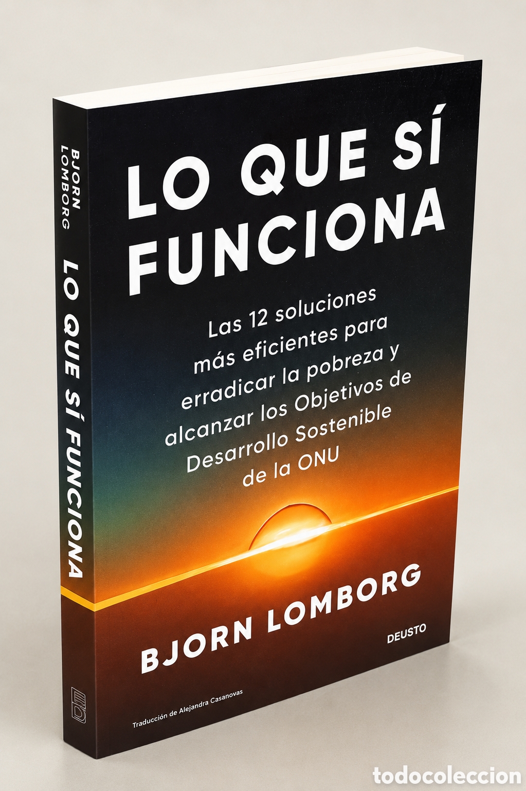 Libros de segunda mano: Lo que s&iacute; funciona. Las 12 soluciones m&aacute;s eficientes para erradicar la pobreza y alcanzar los Objeti
