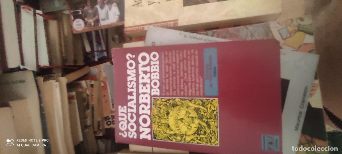 Libros de segunda mano: &iquest;QUE SOCIALISMO? NORBERTO BOBBIO