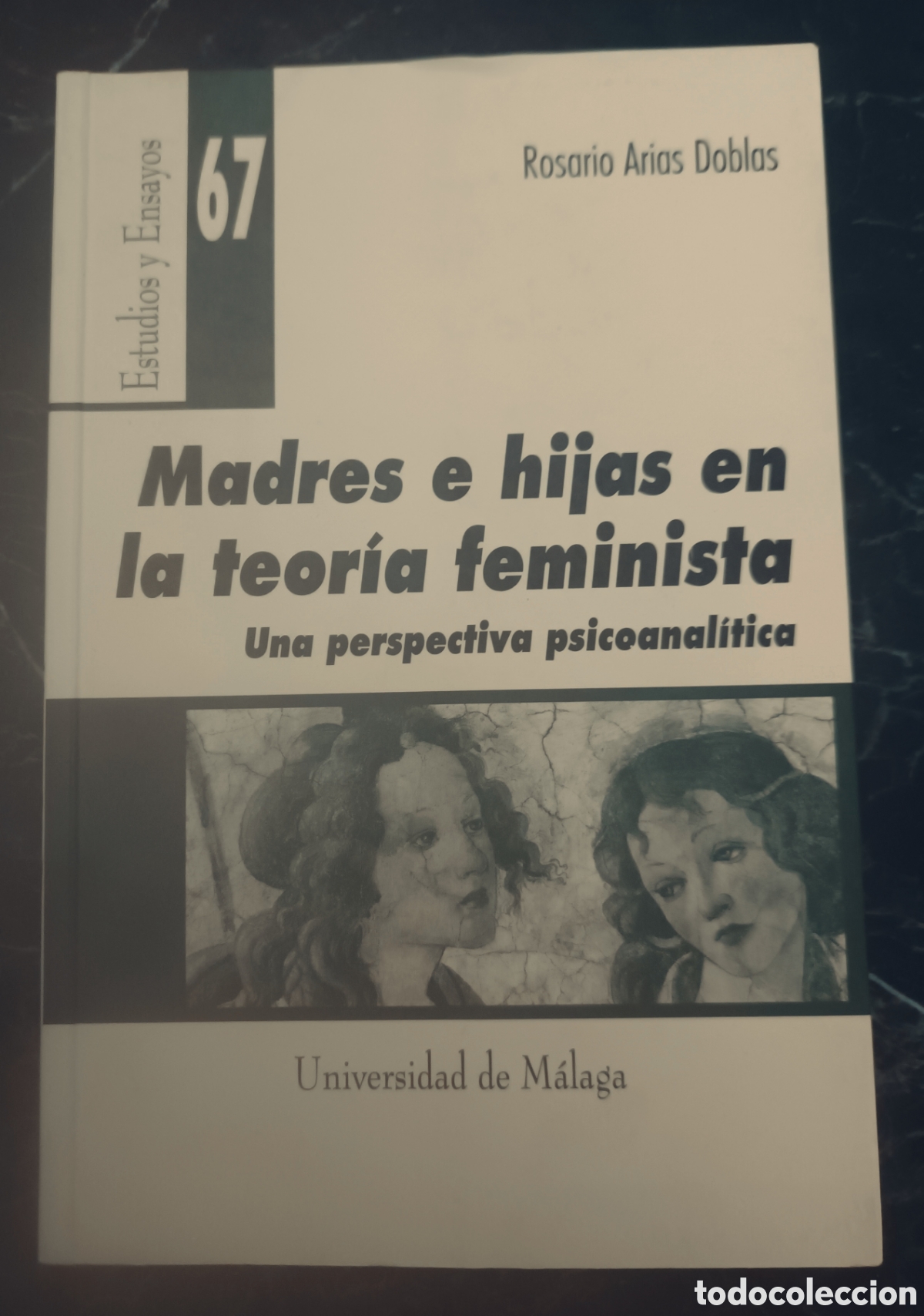 Libros de segunda mano: Madres e hijas en la teor&iacute;a feminista.