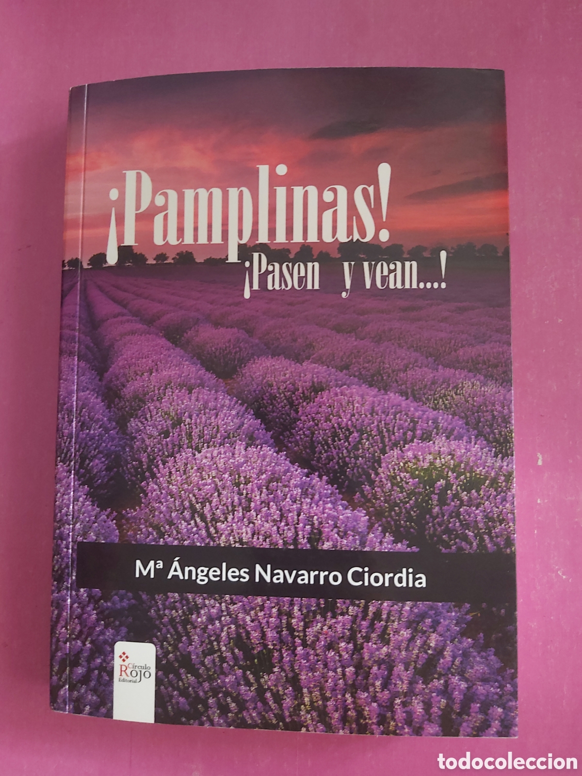 Libros de segunda mano: LIBRO DEDICADO Y FIRMADO + CARTA MANUSCRITA + MARCAPAGINAS PAMPLINAS PASEN Y VEAN M. ANGELES NAVARRO