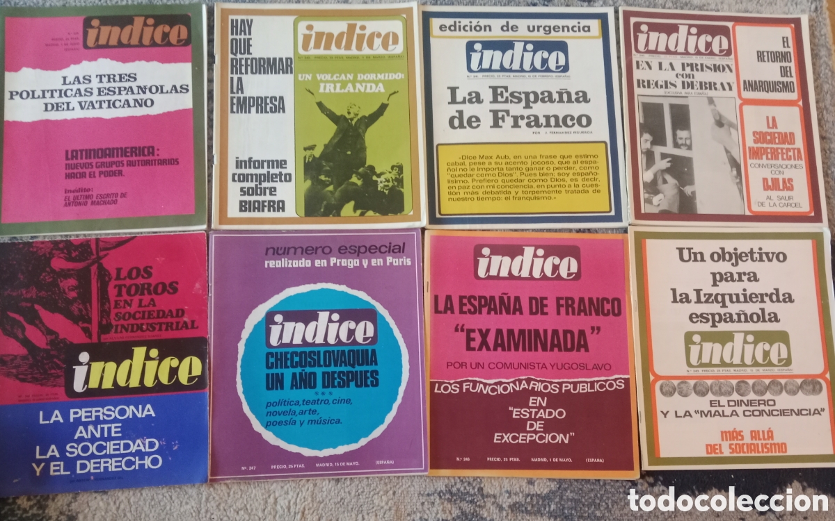 Libros de segunda mano: Revista Indice 240 al 249 salvo el 244