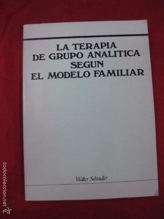 Libros de segunda mano: LA TERAPIA DE GRUPO ANALITICA SEGUN EL MODELO FAMILIAR. WALTER SCHINDLER. 1985