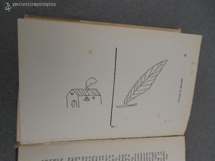 Libros de segunda mano: NI&Ntilde;OS PSICOPATAS - Foto 8