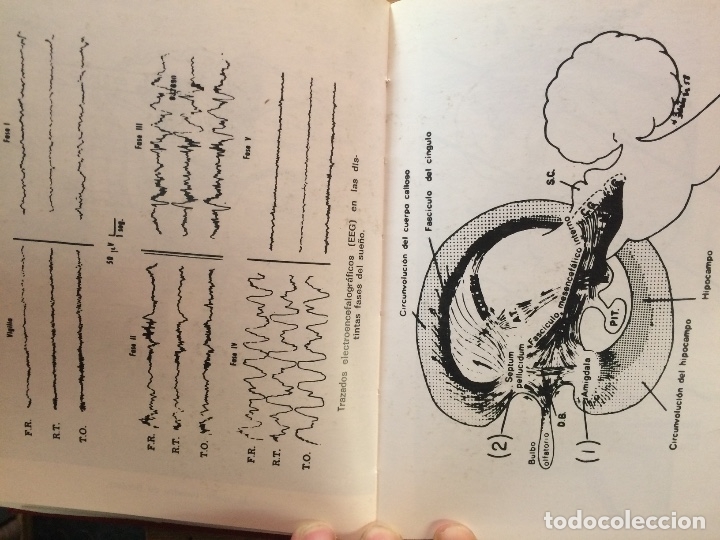 Libros de segunda mano: SOFROLOG&Iacute;A CIENT&Iacute;FICA. RICARDO PUNCERNAU. - Foto 9
