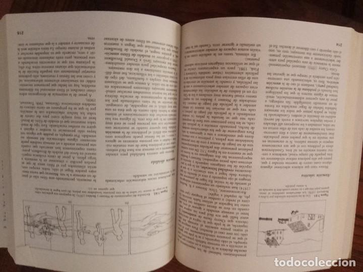 Libros de segunda mano: SENSACION Y PERCEPCION. AUTOR E. BRUCE GOLDSTEIN. - Foto 4
