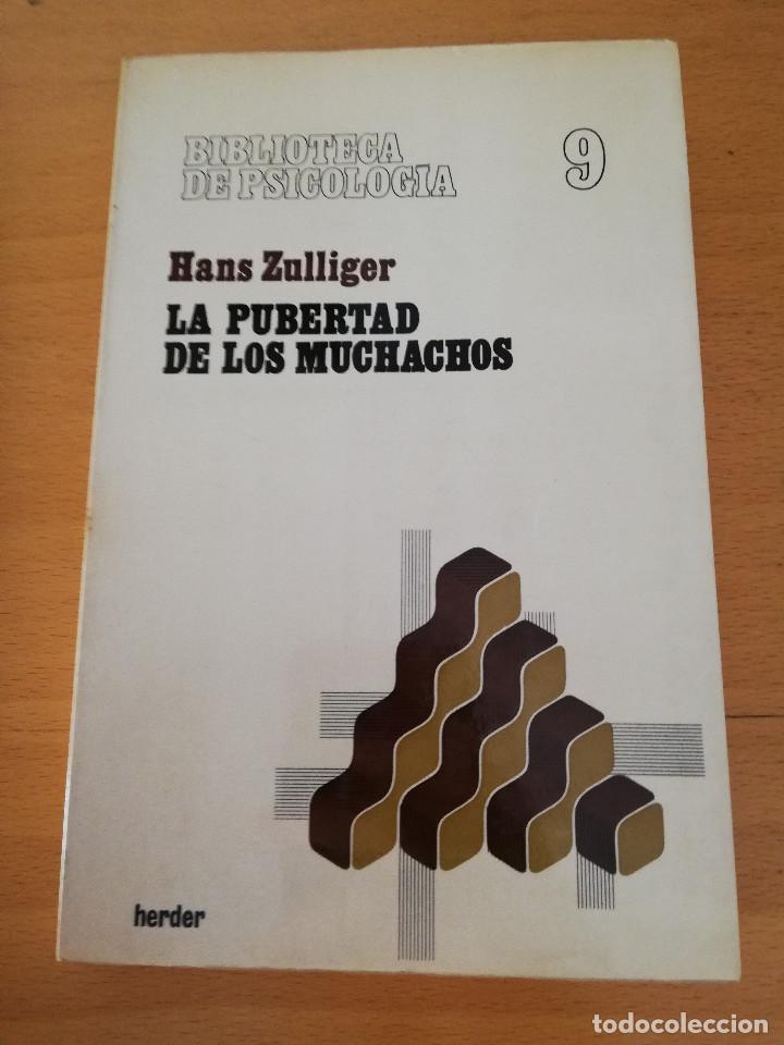 Libros de segunda mano: LA PUBERTAD DE LOS MUCHACHOS (HANS ZULLIGER) HERDER - Foto 1