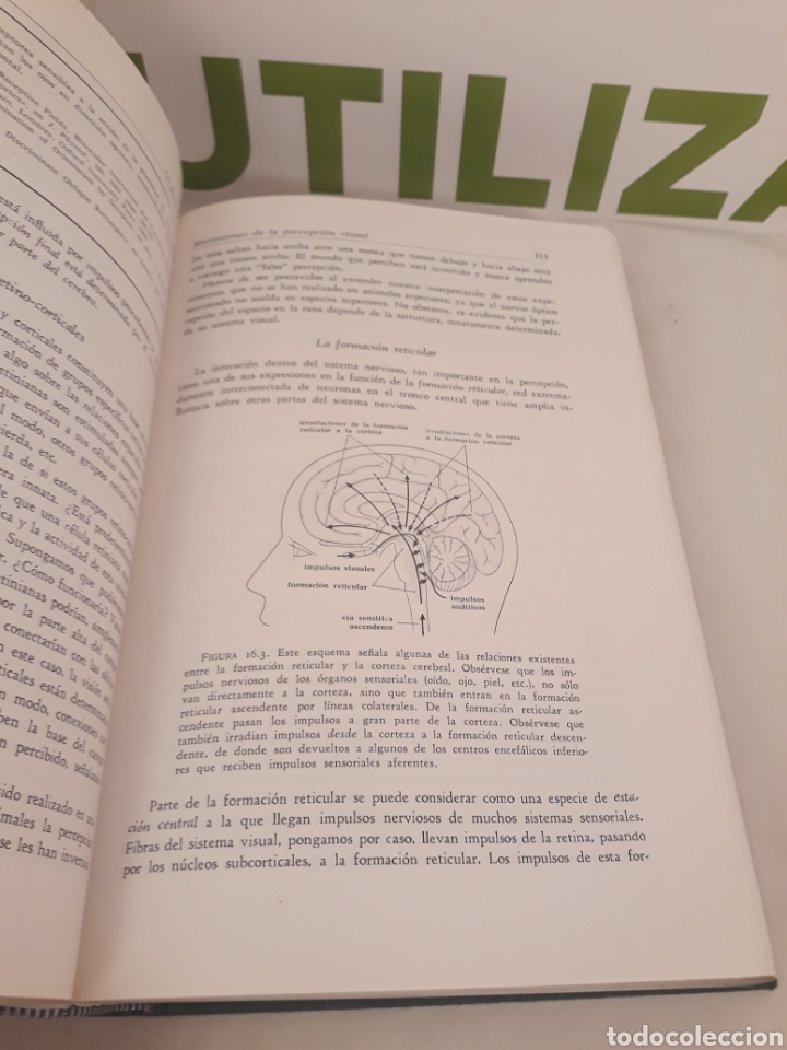 Libros de segunda mano: Elementos de psicologia.editorial gredos. - Foto 4