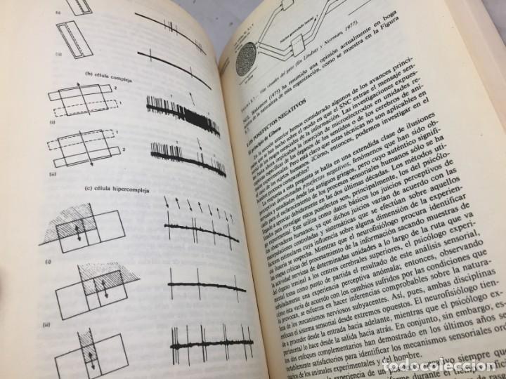 Libros de segunda mano: INTRODUCCION A LA PSICOLOGIA. MANUAL VISOR. 1984 - Foto 7