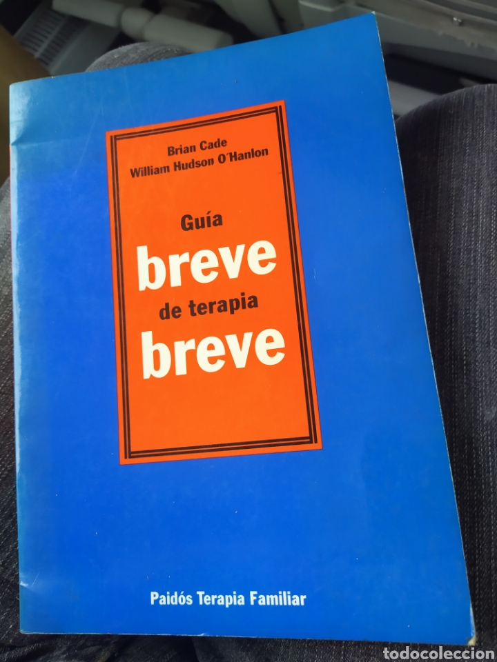 Libros de segunda mano: Gu&iacute;a breve de terapia breve Brian Cadena William Hudson O'Higgins Hablan Primera edici&oacute;n