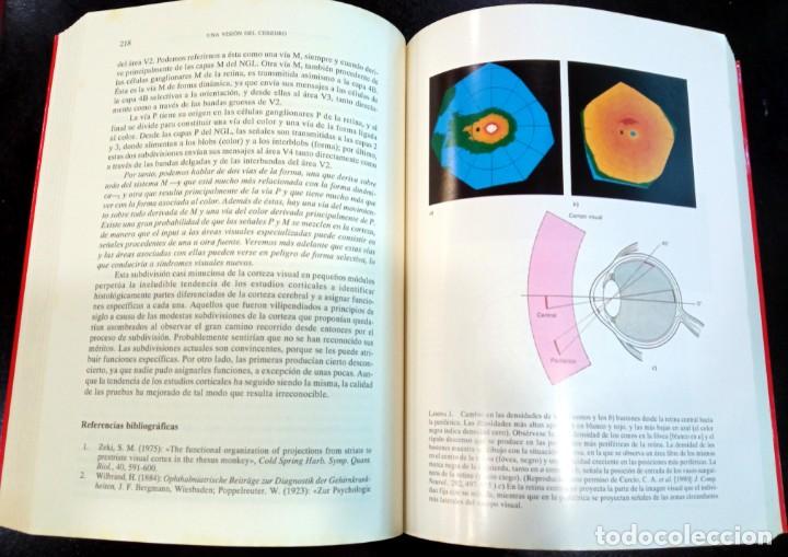 Libros de segunda mano: Una visi&oacute;n del cerebro, de Semir Zeki - Foto 3