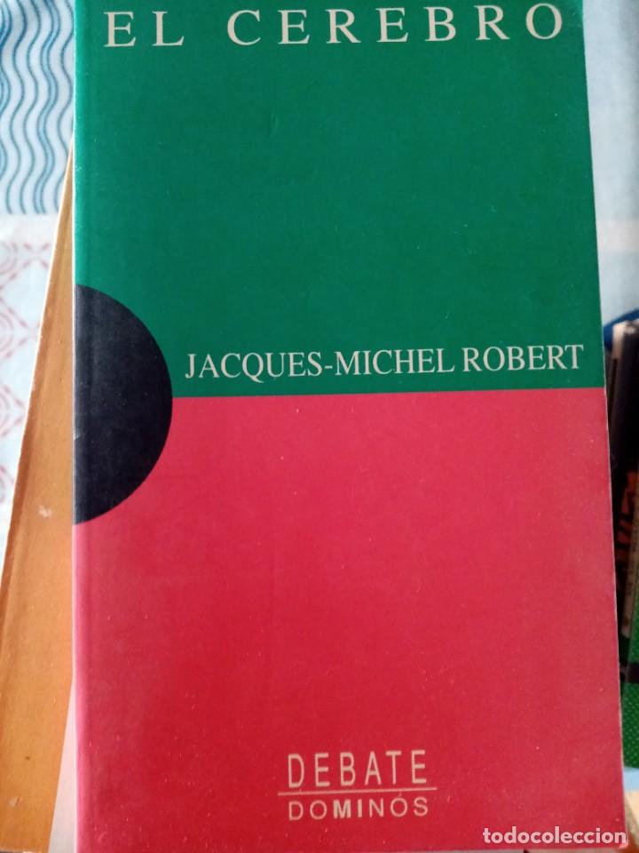 Libros de segunda mano: El cerebro de Jacques-Michel Robert Ed. Debate - Foto 1