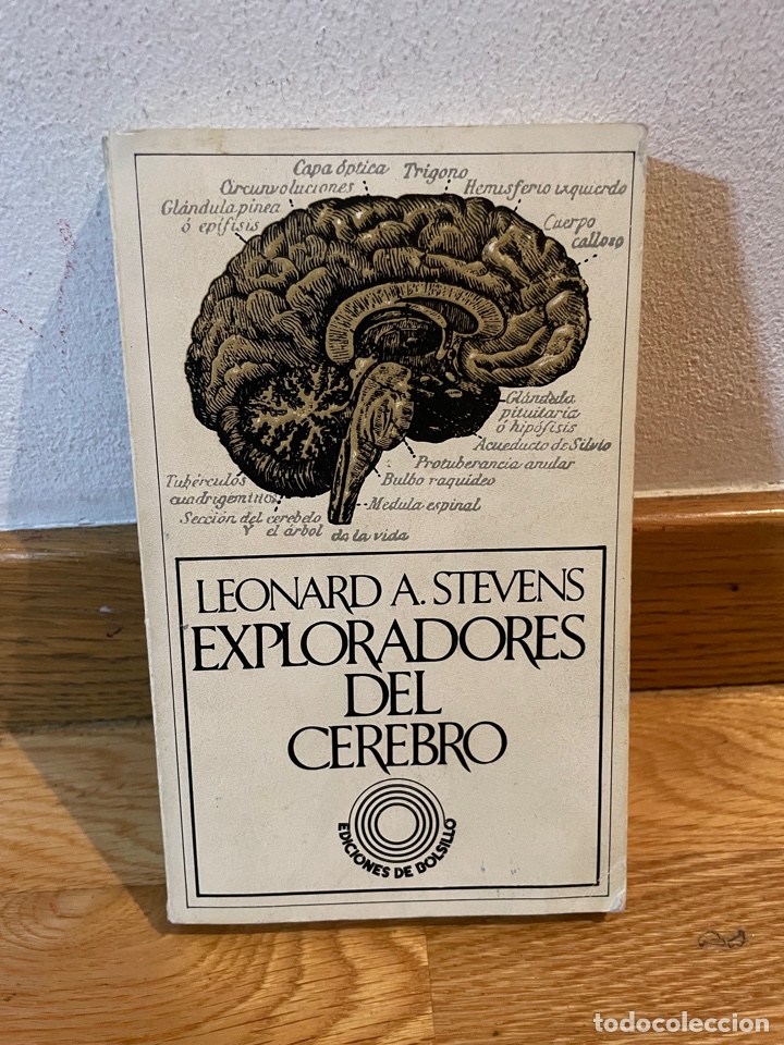 Libros de segunda mano: Leonard A. Stevens Exploradores del cerebro - Foto 1