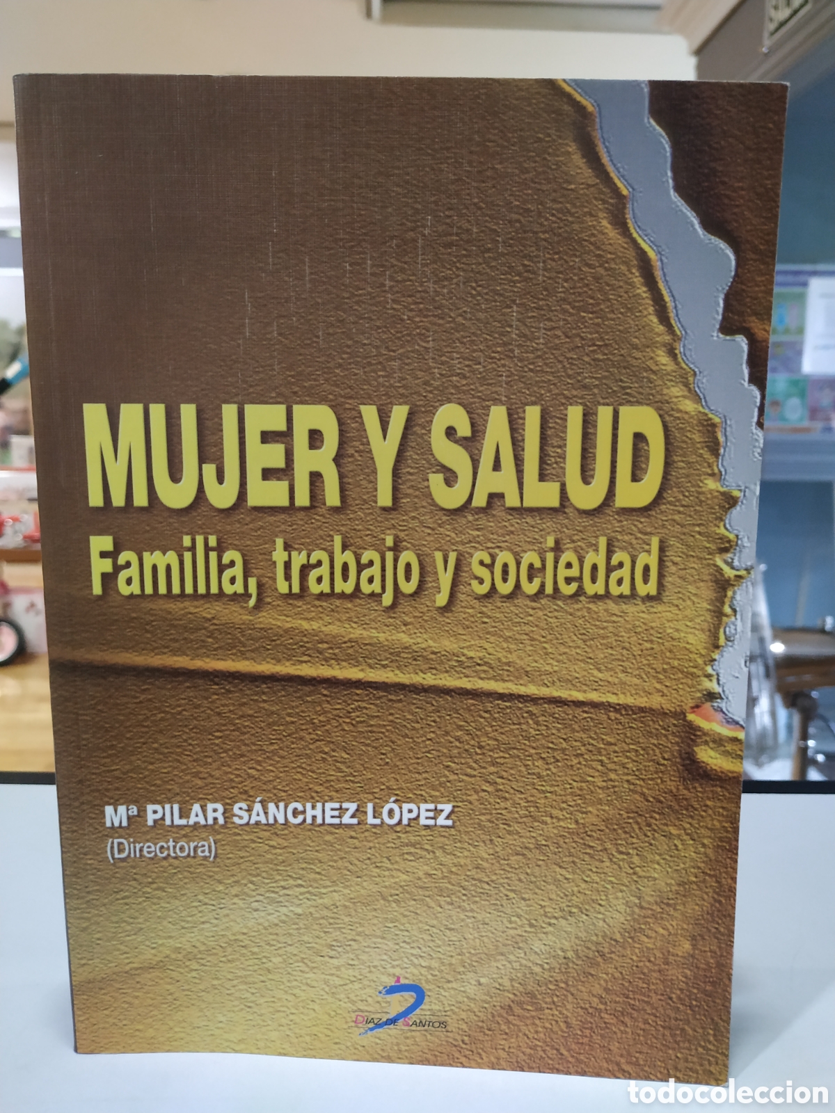 Gebrauchte B&uuml;cher: Mujer y salud. Familia, trabajo y sociedad. M Pilar S&aacute;nchez L&oacute;pez.