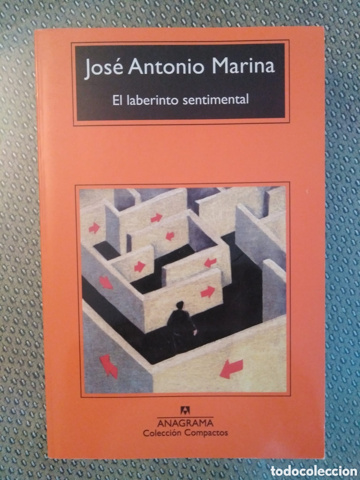 Libros de segunda mano: El laberinto sentimental / Jos&eacute; Antonio Marina - Foto 1