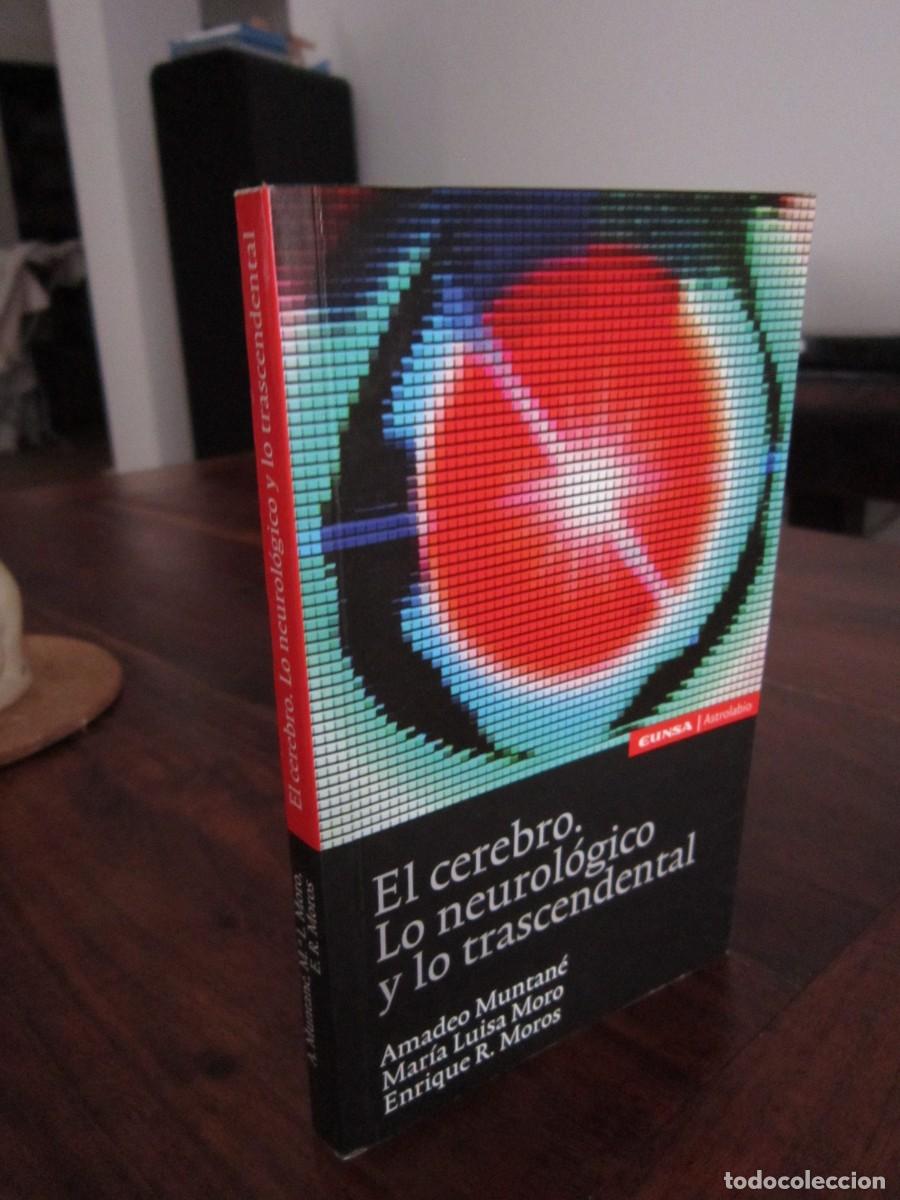 Second hand books: EL CEREBRO, LO NEUROL&Oacute;GICO Y LO TRANSCENDENTAL. Amadeo Muntan&eacute;, M&ordf; Luisa Moro, Enrique R. Moros