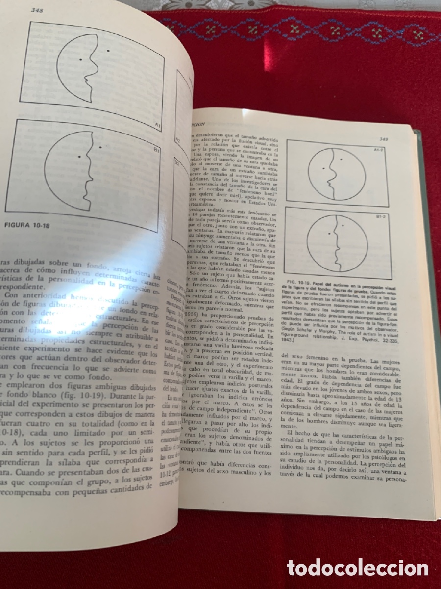 Libros de segunda mano: Psicolog&iacute;a. James O. Whittaker. - Foto 12