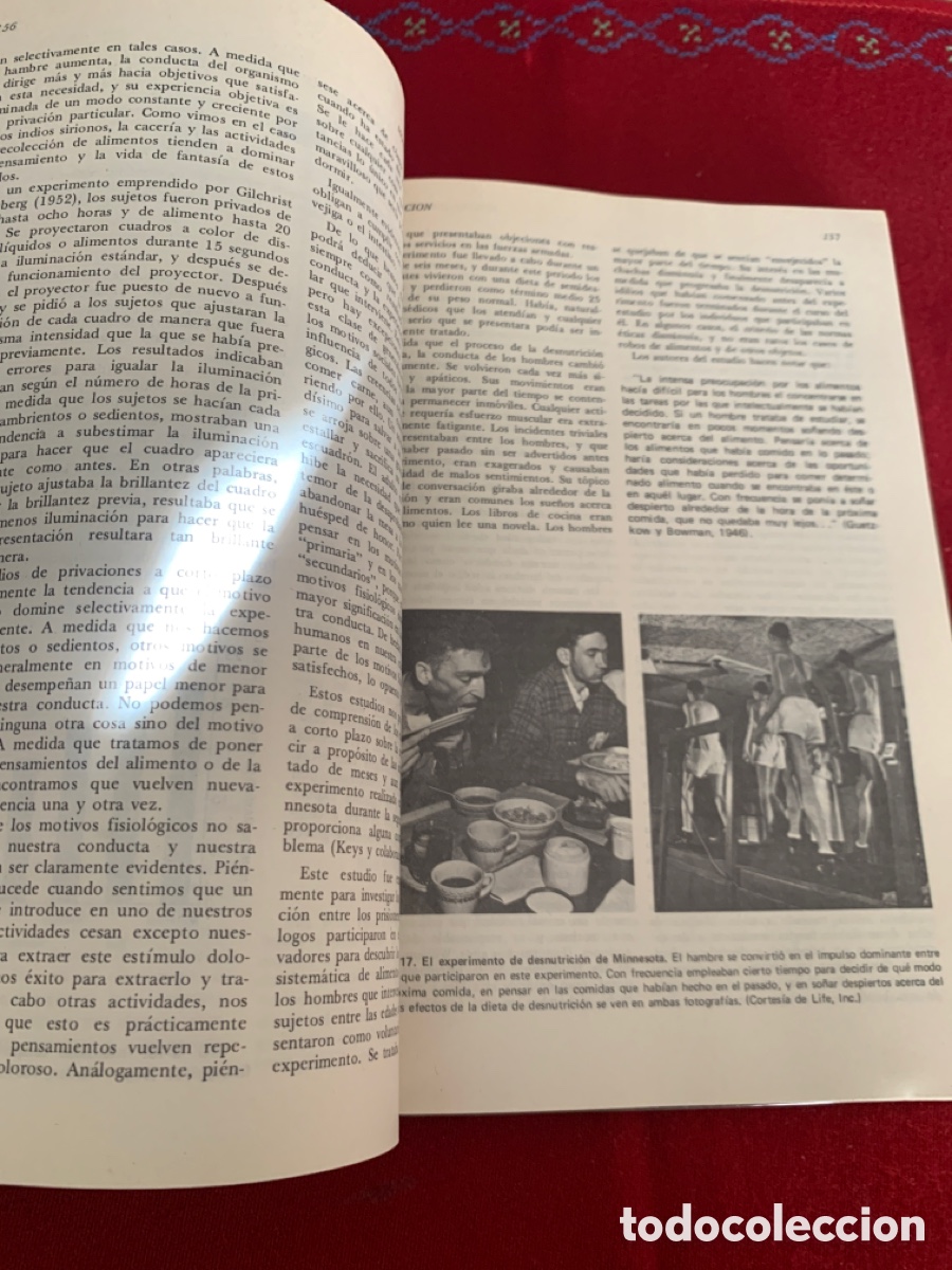 Libros de segunda mano: Psicolog&iacute;a. James O. Whittaker. - Foto 14