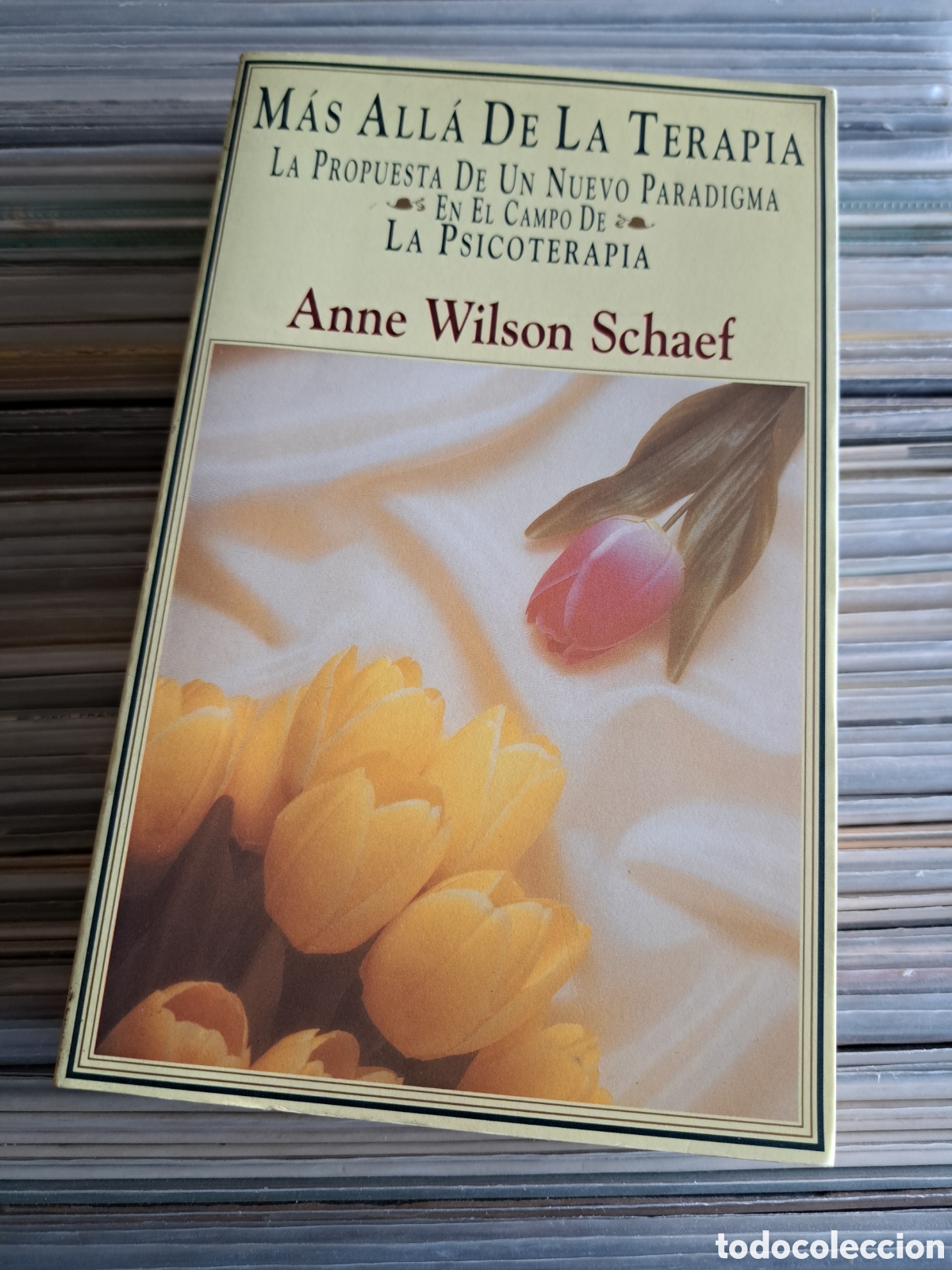 Libri di seconda mano: M&Aacute;S ALL&Aacute; DE LA TERAPIA (LA PROPUESTA DE NUEVO PARADIGMA EN CAMPO PSICOTERAPIA)- ANNE WILSON, 1994.