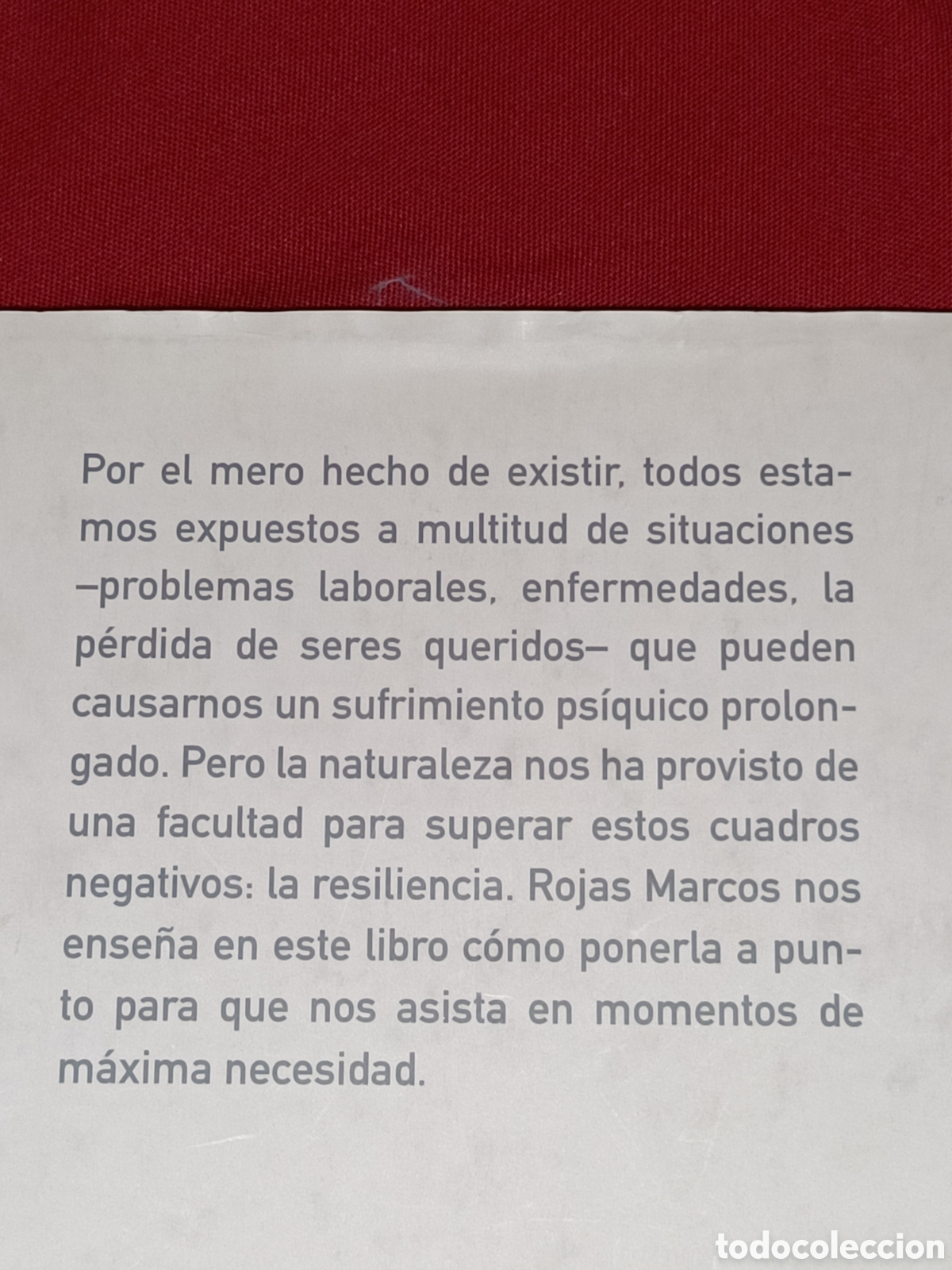 Libros de segunda mano: Superar la adversidad. El poder de la resiliencia. Luis Rojas Marcos. C&iacute;rculo. Espasa - Foto 2
