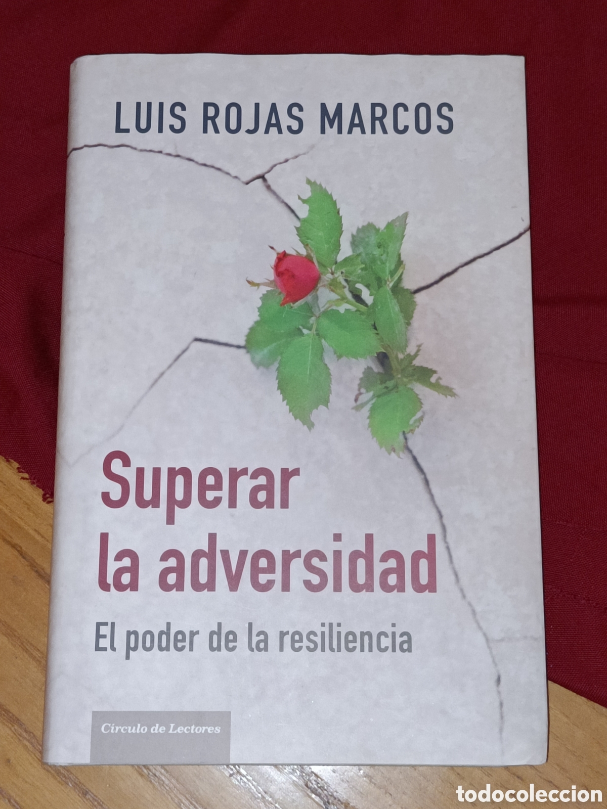 Libros de segunda mano: Superar la adversidad. El poder de la resiliencia. Luis Rojas Marcos. C&iacute;rculo. Espasa - Foto 1