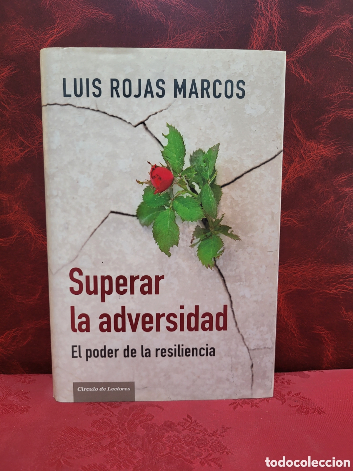 Libros de segunda mano: ☆ SUPERAR LA ADVERSIDAD. EL PODER DE LA RESILENCIA - LUIS ROJAS MARCOS. CIRCULO DE LECTORES - Foto 2