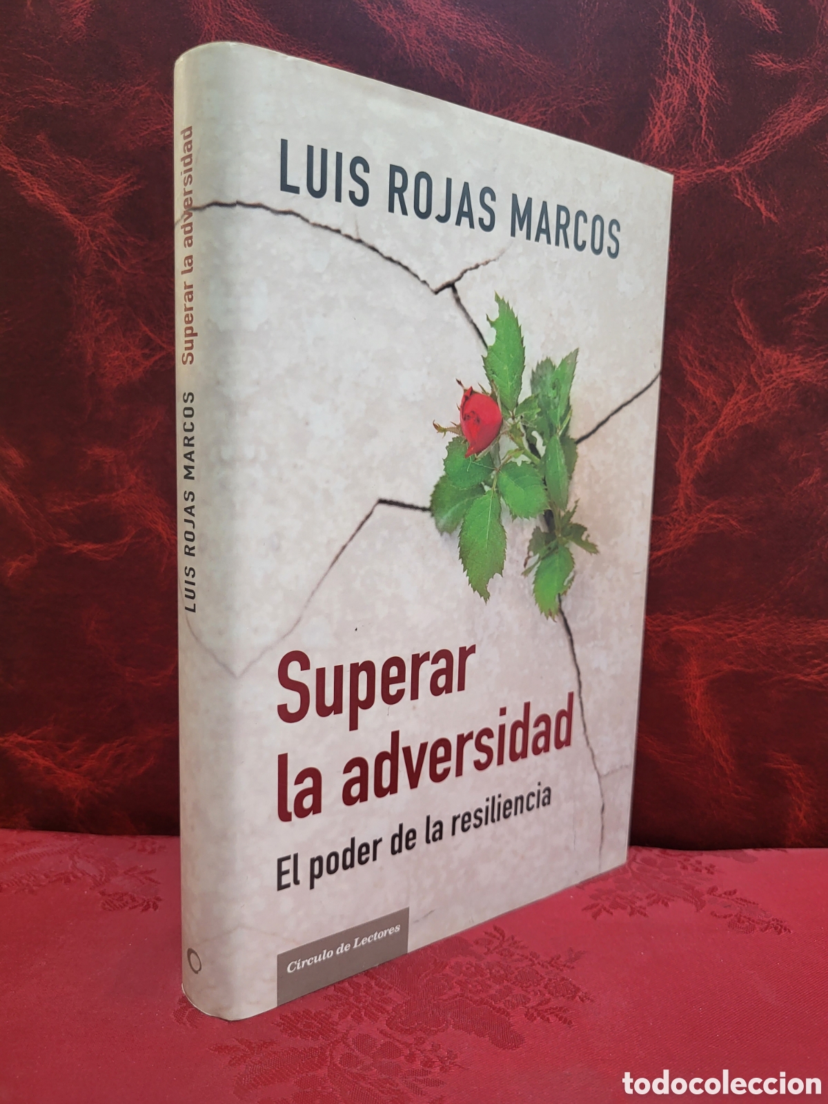 Libros de segunda mano: ☆ SUPERAR LA ADVERSIDAD. EL PODER DE LA RESILENCIA - LUIS ROJAS MARCOS. CIRCULO DE LECTORES - Foto 1
