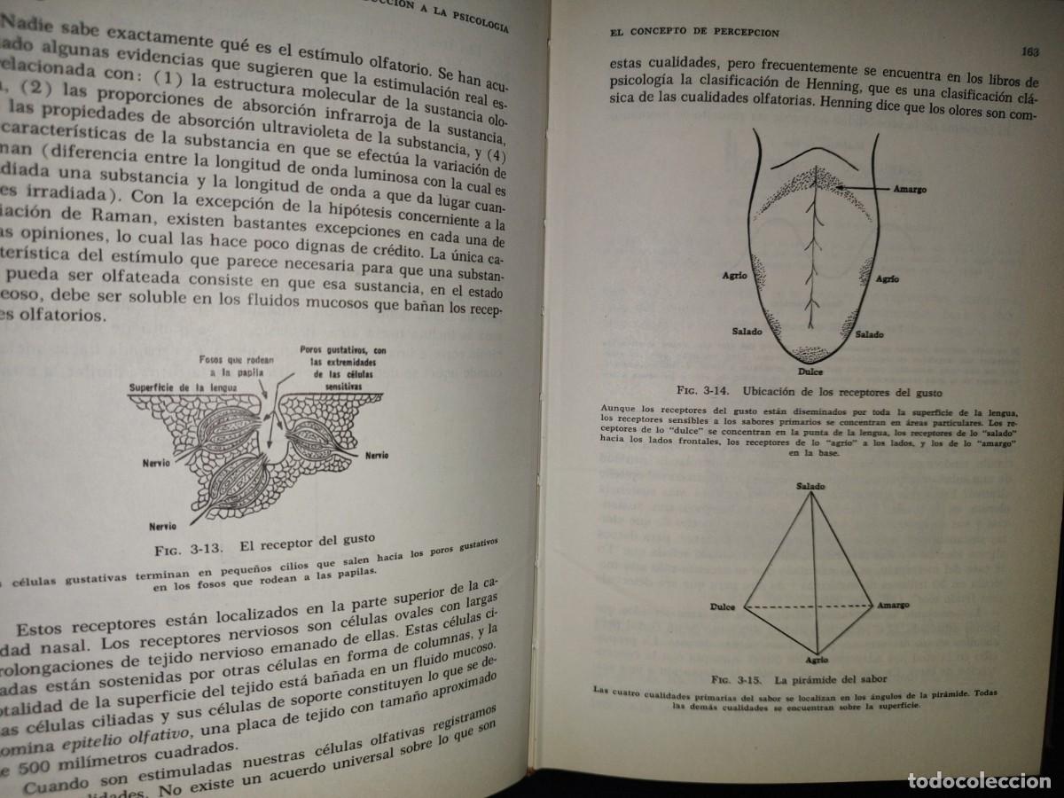 Libros de segunda mano: 78- INTRODUCCI&Oacute;N A LA PSICOLOG&Iacute;A - ROBERT S. HARPER - 1965 - Foto 10