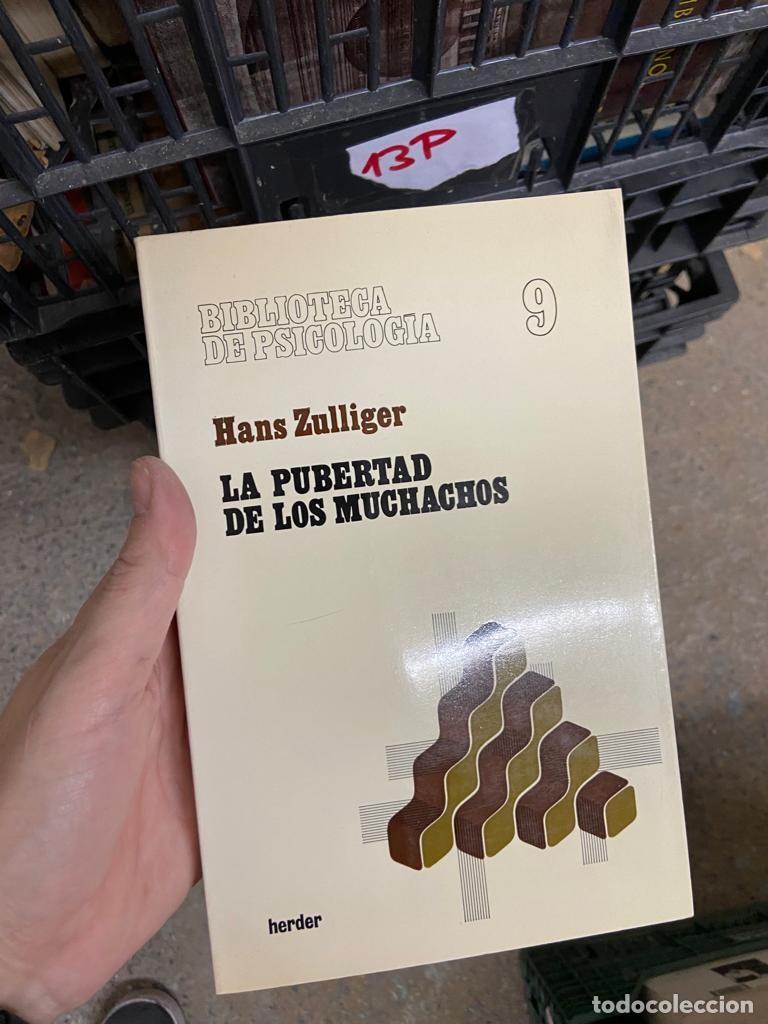 Libros de segunda mano: 13P LA PUBERTAD EN LOS MUCHACHOS, HANS ZULLIGER - Foto 1